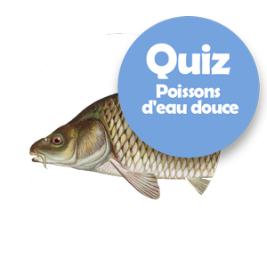 Les poissons d'eau douce